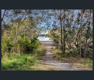 7 Ibis Parade, Jacobs Well, Qld 4208 - Photo 4