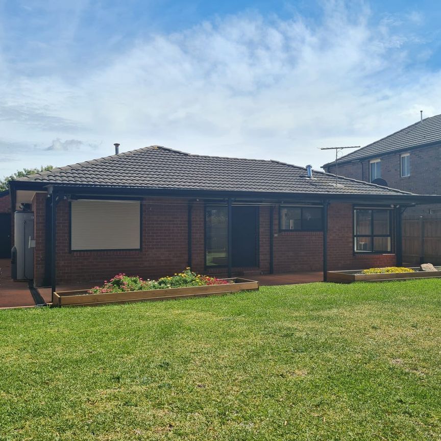 IMMACULATE FAMILY LIVING - Photo 1