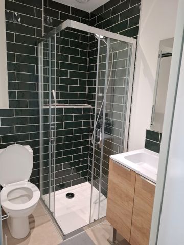 SAHUQUE Colocation 5 chambres à Toulouse - Photo 4