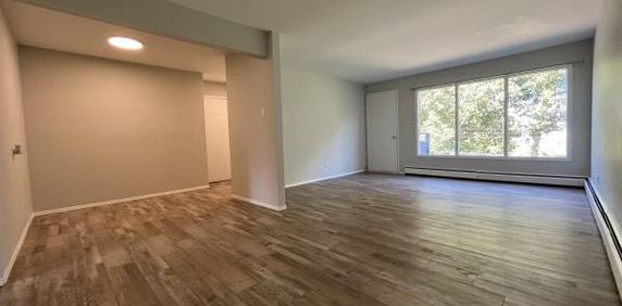 Spacious Newly Renovated 2 Bedroom Near Downtown - Photo 2