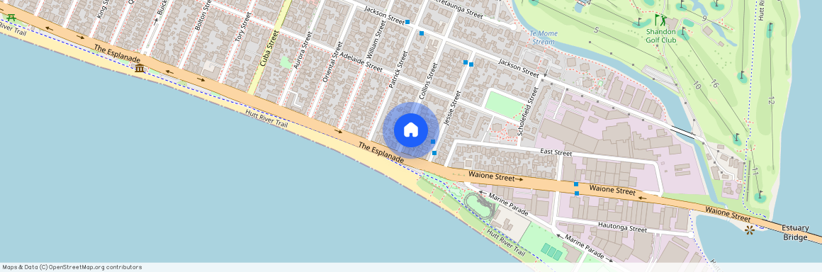 4 Collins Street, Petone