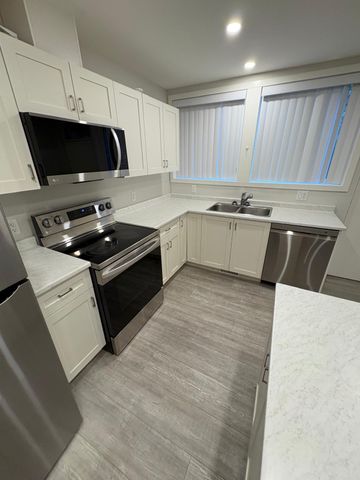 Newly Renovated in Lower Mission - Photo 3
