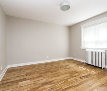 54 Maitland Street - Photo 1