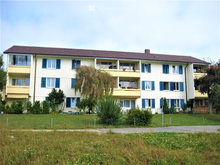 Schöne Wohnung in Lyss - Foto 5