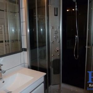 Location Appartement 2 pièces 41m² GRENOBLE 38000 - Photo 2
