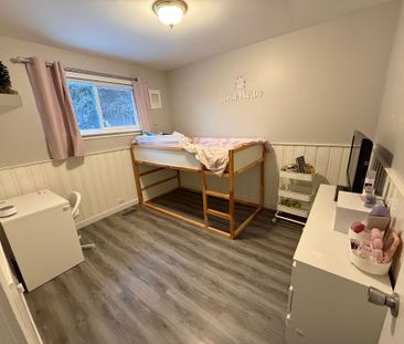 For Lease - 257 Silverbirch Drive Unit# Main, Newmarket, Ontario - Photo 6