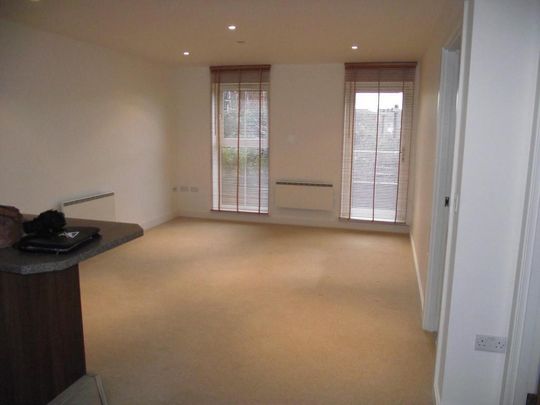 1 bedroom ground floor flat to rent - Photo 1