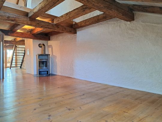 HAUPTGASSE 36,Spacieux 2.5 pièces aux poutres apparentes et de 120M2 - Photo 1