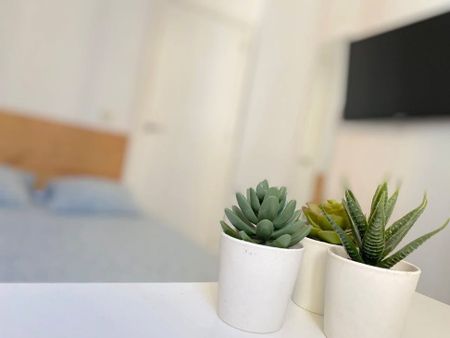 Avenida San Lázaro, Sevilla, Andalusia 41009 - Photo 3