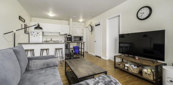 Appartement 3 ½ à louer Sainte-Foy / Sillery décembre 2025 - Photo 2