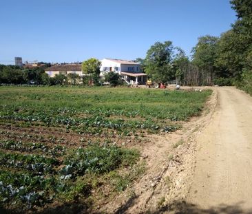 T2 - Photo 5