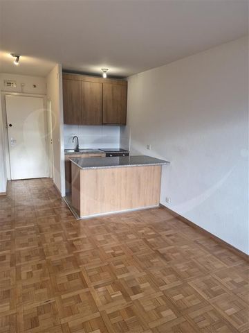 Rue Sautter 13, One-room studio near the Geneva Cantonal Hospital - Foto 5