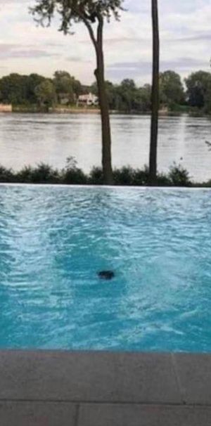 Magnifique condo 3 ½ de luxe – Projet exclusif de 40 unités - Photo 1