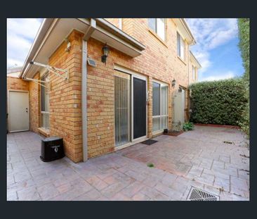 2/1 Ashburn Grove, Ashburton VIC 3147 - Townhouse For Rent | Domain - Photo 4