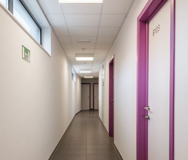 Kamer eigen douche - Brus­sels­epoort­straat 89 - Foto 6