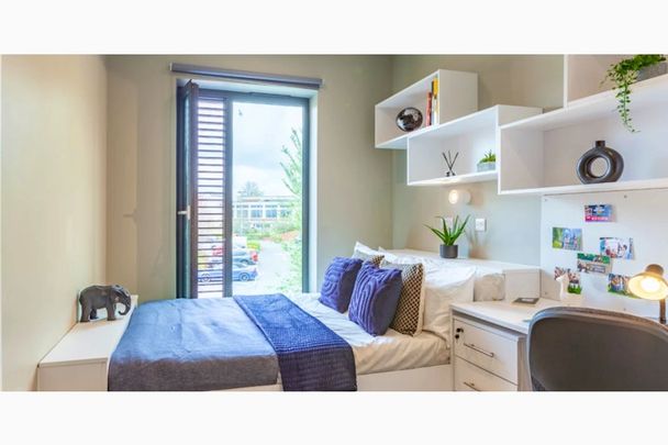 Premium Ensuite - Photo 1