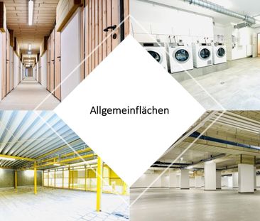 LEO 131 – Hochwertige 1-Zimmer Wohnung mit Loggia nahe Siemensstraß... - Foto 3