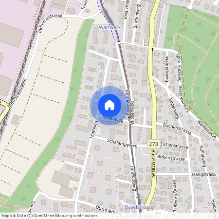 Hofmattweg 45, 4144 Arlesheim