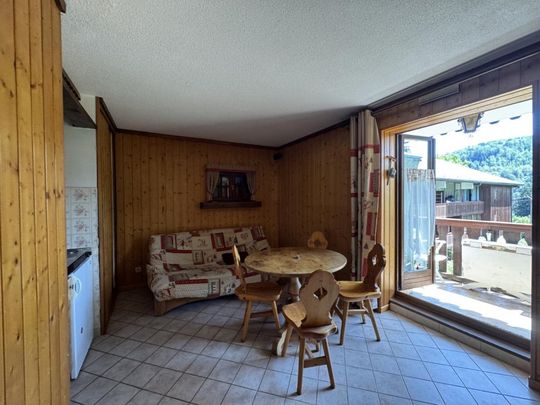 Location Appartement 2 pièces Meublé 24m² ONNION 74490 - Photo 1