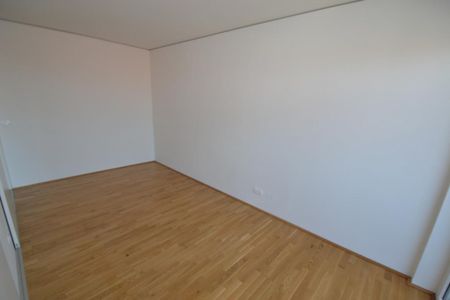 Jakomini – 54 m², traumhafte 3 Zimmerwohnung – riesiger Süd-Westbalkon – WG fähig - Photo 3