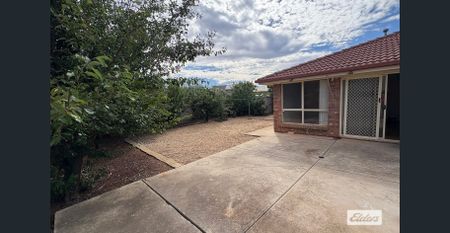 GREAT LOCATION - WALKING DISTANCE TO TRINITY COLLEGE - Photo 3