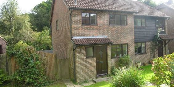 3 bedroom semi-detached house to rent - Photo 3