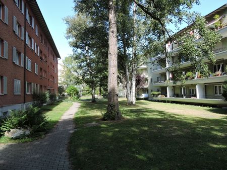 Heimelige Wohnung im Weissenbühlquartier - Foto 5