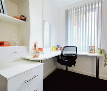 Studio Bronze - Photo 6