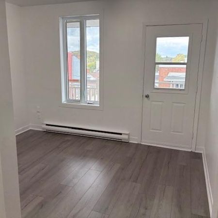 Occasion, beau 41/2, rénové au complet, 750$ - Photo 4