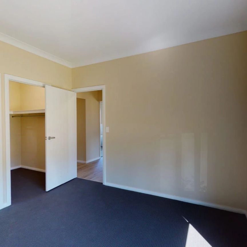 16 McGann Drive, North Rothbury. - Photo 1