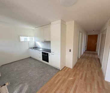 "Rénové, Beau, grand appartement avec balcon!" - Photo 5