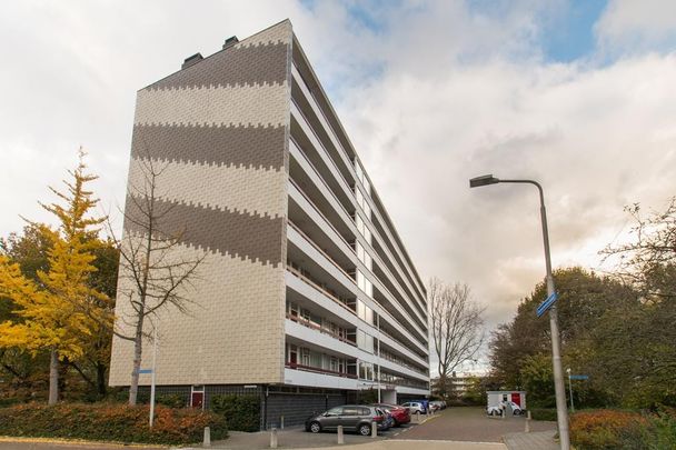 Appartement te huur: Duivelandselaan 75 1181 JT Amstelveen - Foto 1