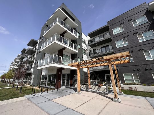 315 - 4150 Seton Dr SE, Calgary - Photo 1