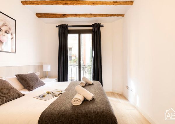 Elegant Two Bedroom Apartment in Poblenou