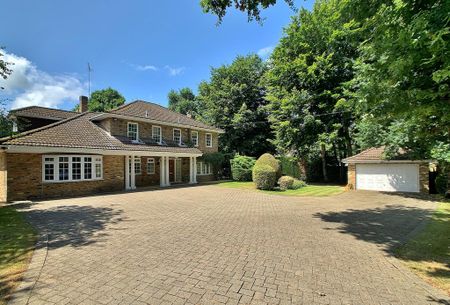 5 bedroom detached house to rent - Photo 2