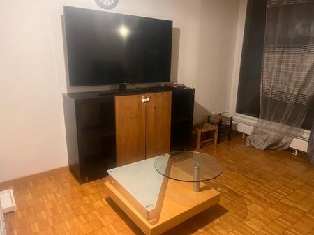 Modern and bright 2.5-room apartment fully furnished, prime location, Adliswil - Photo 4