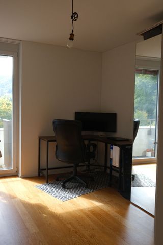 APPARTEMENT DE 3 PIÈCES À ZURICH, MEUBLÉ, TEMPORAIRE - Photo 2