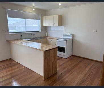 Freshly Updated Home - Photo 5