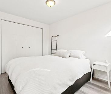 Appartement à louer - Montréal (Le Plateau-Mont-Royal) (Mile-End) - Photo 5