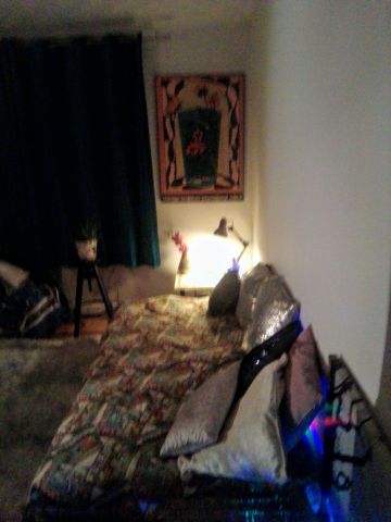 Room in a Shared House, Adelaide Road, SO17 - Photo 4