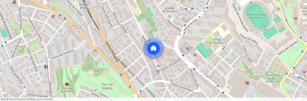 1004, Lausanne, Avenue De France, 90
