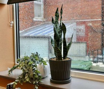🏡 Brand New 5 Bedroom House Share – Oakes Street, WF2 Room 2 - Photo 5