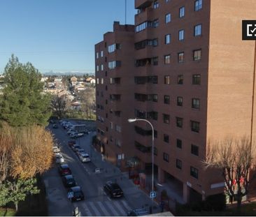 madrid, Community of Madrid 28024 - Photo 6