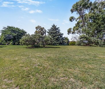 Lovely Ground floor Mawson Unit - Photo 1