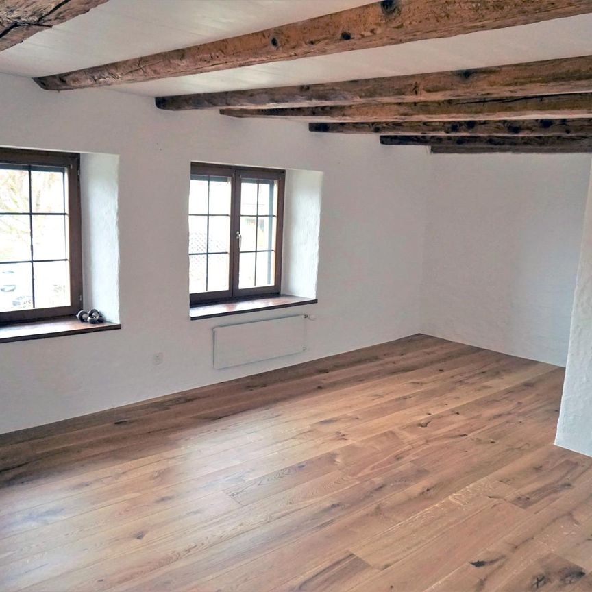 Erstbezug: Frisch renoviertes, Bauernhaus mit Innenhof und Garten - Photo 1