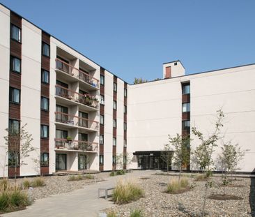 1550 Avenue Filion - Photo 2