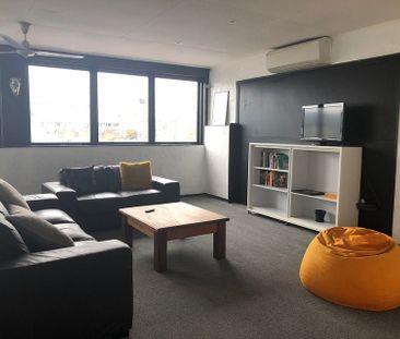 Central Hastings 3BR Sunny Apartment power incl! - Photo 6