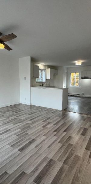 Beau grand 4 et demi lumineux et tranquille - Photo 1