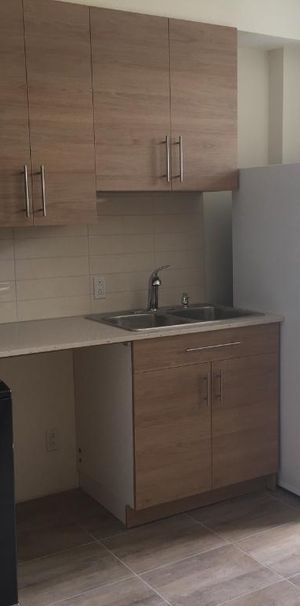 3½ rénové | Électros inclus | Disponible 1er mai - Photo 1