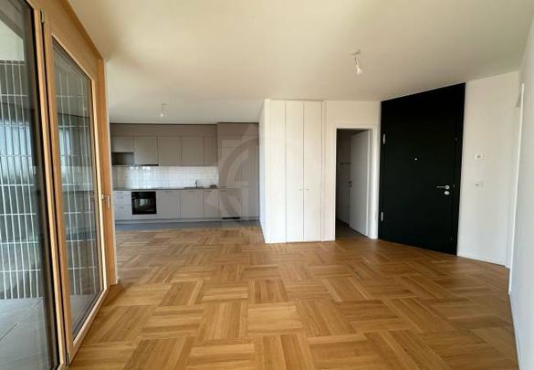 Appartement - Lausanne - Photo 1